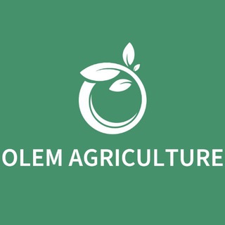 (AGCR)Join new company and operate it for 6 months