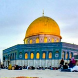 القناة العلمية للطب المخبري الدفعة الثانية