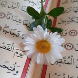 🌼 İLİM NURDUR 🌼