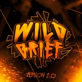 WildGrief › Ламповый мульти-сервер.