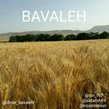 کانال بخش باوله