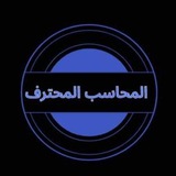 المحاسب المحترف