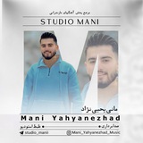 Studio Mani
