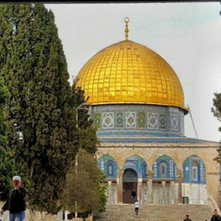 نسمات عطرة 🇵🇸