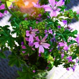 豆瓣知乎简书微信公众号 💐