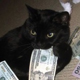 Crypto Shik