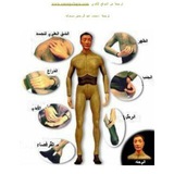 تعلم لغة الجسد