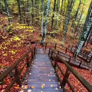 🍁 کلبه احساس 🍁