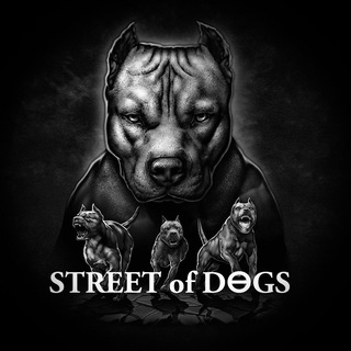 STREET of DOGs BOT