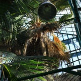 Ботанический сад ЮФУ 🌴 Экскурсии, курсы фитодизайна и садоводства, квесты для детей<i class="emoji" style="background-image:url('//telegram.org/img/emoji/4