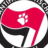 taz Antifa