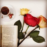 ماجستير / لغة عربية