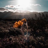 مقاطع منوعه #تصميم بدون حقوق