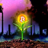 💯💰My BITCOIN💰💯