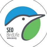 SEOBirdLife. Rutas, excursiones y viajes Madrid