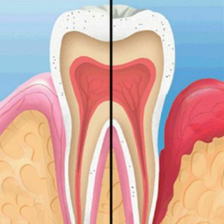 Sudanese Library of Periodontology