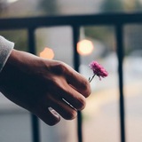 نبــــ͡ــ❣ــــــضهٰ̐ہ ¸ قلٖبٰۧ