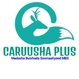 CARUUSHÃ PLUS™