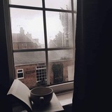 الفهَـد.