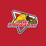 JOE PROGOLD FX