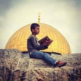 كرتون الفجر الباسم