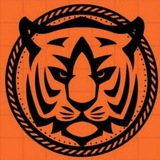TOSS KING TIGER 🐅