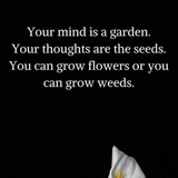 English Thoughts & Best Lines