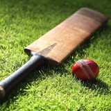 CRICKET STATUS