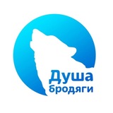 Приют «Душа Бродяги»