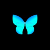 Electronic FLAC Music
