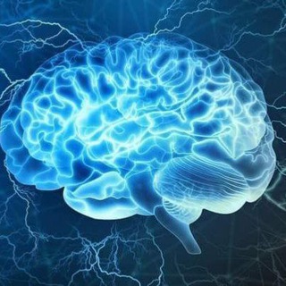 CNS and special senses