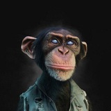 ApeCrypto