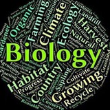 BIOLOGIYA SIRTQI VA KECHKI TALABALARI