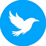 کلاغ دانشگاه تبریز