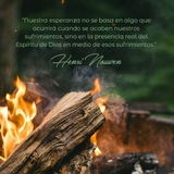 NOVEDADES Turbo