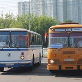 Мировые автобусы