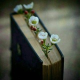 ْمختاراتٌ شعريّة وأَدَبيّة
