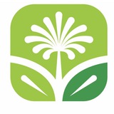 المركز الوطني للمسوؤلية والدراسات