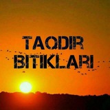 Taqdir bitiklari