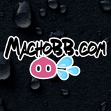 MachoBB (News) 🐽 💦