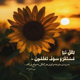 🌴 قطره ای ازکلام اولیاء اللهِ 🌴