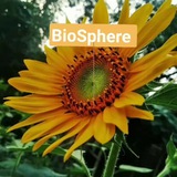 NEET_BioSphere π