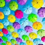 🔶wall_photo_flower🔶 عکس گل منظره والپیپر پروفایل
