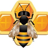 🐝 OʻZBEKISTONDA KOʻCHMA ASALARICHILIK. 🐝