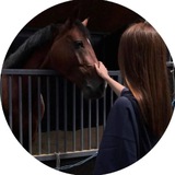 خَـيال 🤎 🐎