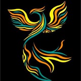 Phoenix mall official