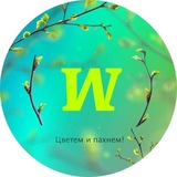 Квиз "Мозгва" в Сочи/Адлере