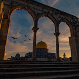 طمأنينة | Tranquility