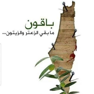 حكاية الأرض
