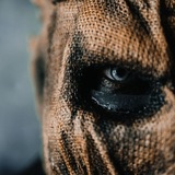 Ангел-Хранитель